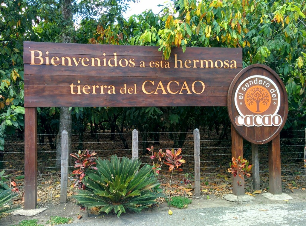 CACAO – Mi&nbsp;Debilidad